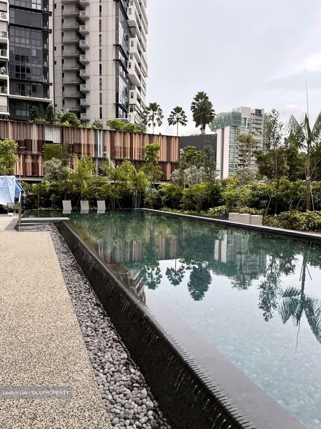 Myra (D13), Apartment #562904111